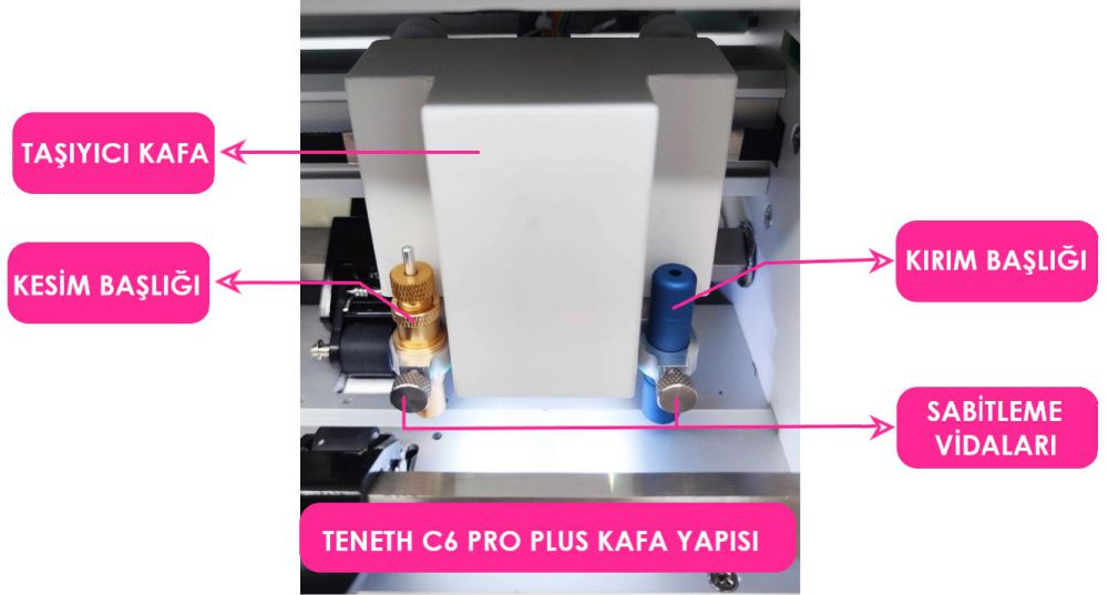 teneth-pro-plus-etiket-kesim-kafa.jpg (58 KB)