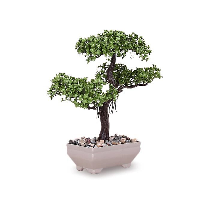 Bonzai Ağacı Saksılı Ofis Hediyesi - 1