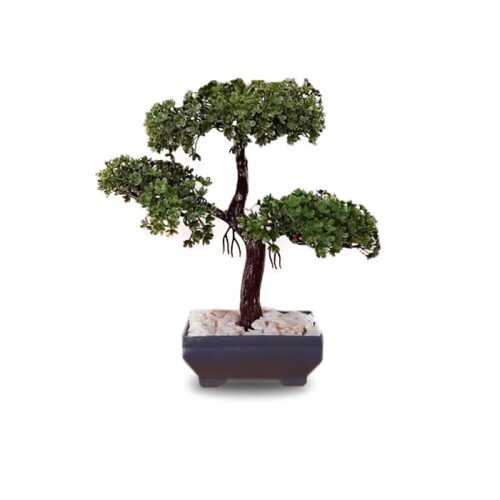 Bonzai Ağacı Saksılı Ofis Hediyesi - 2