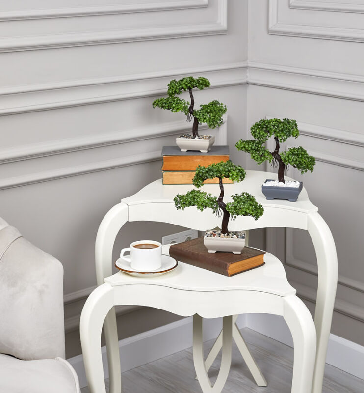 Bonzai Ağacı Saksılı Ofis Hediyesi - 3
