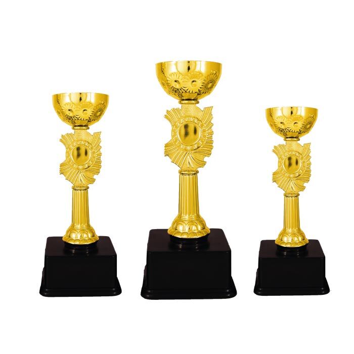 Ekonomik Ödül Kupası Üçlü Set 6000 Serisi - 1