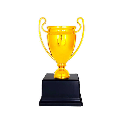 Ekonomik Okul Ödül Kupası - 