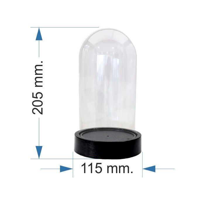 Hediyelik Fanus Büyük Boy Terraryum - 2