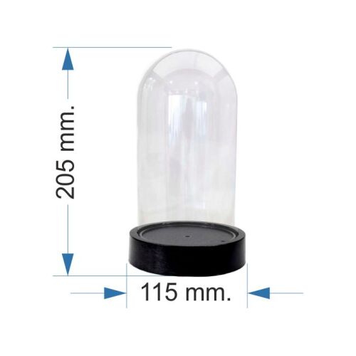 Hediyelik Fanus Büyük Boy Terraryum - 2