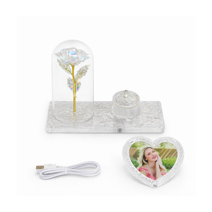 Işıklı Fanus Gül Gece Lambalı Fotoğraf Çerçevesi - 5