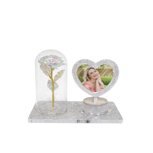 Işıklı Fanus Gül Gece Lambalı Fotoğraf Çerçevesi - 3