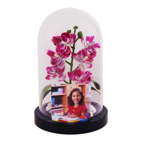 Kişiye Özel Fotoğraf Baskılı Çiçek Fanusta Orkide - 3