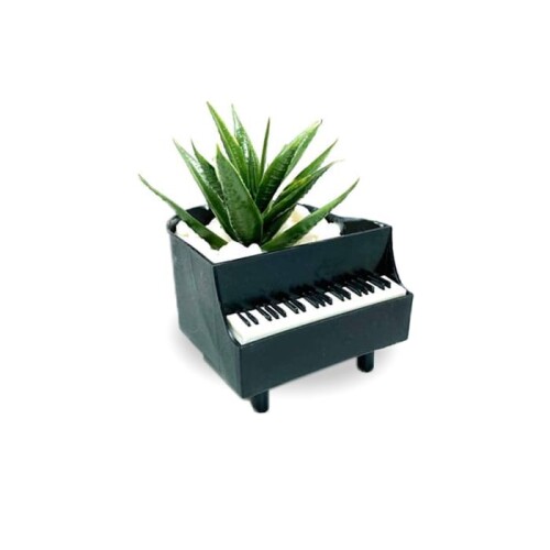 Piyanoda Sukulent Hediyelik - 3
