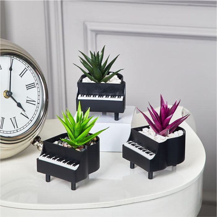 Piyanoda Sukulent Hediyelik - 4