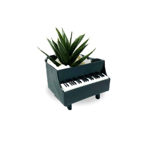 Piyanoda Sukulent Hediyelik - 1