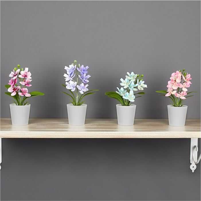 Saksıda Mini Orkide - 3