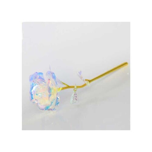 Sonsuzluk Gülü Hediyelik Gökkuşağı Renk - 1