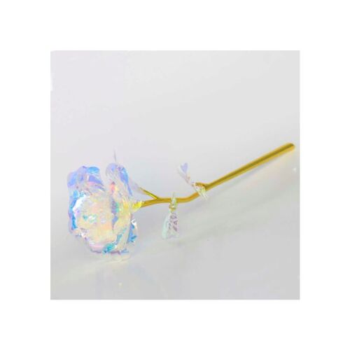 Sonsuzluk Gülü Hediyelik Gökkuşağı Renk - 1