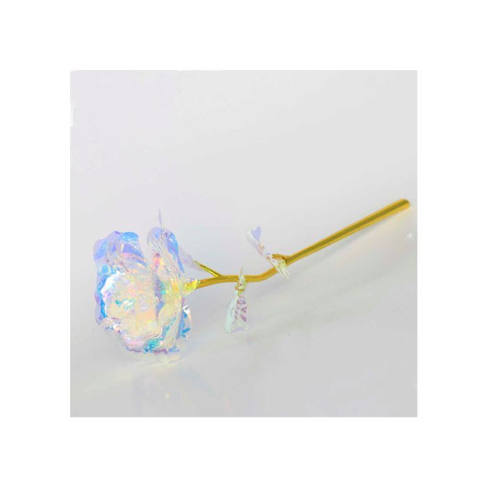 Sonsuzluk Gülü Hediyelik Gökkuşağı Renk - 1