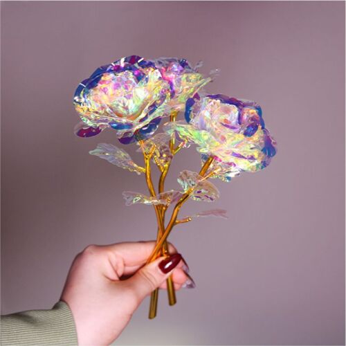 Sonsuzluk Gülü Hediyelik Gökkuşağı Renk - 2