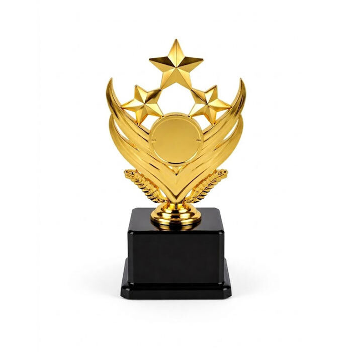 Yıldızlı Zafer Ödül Kupası Altın - 165mm - 4